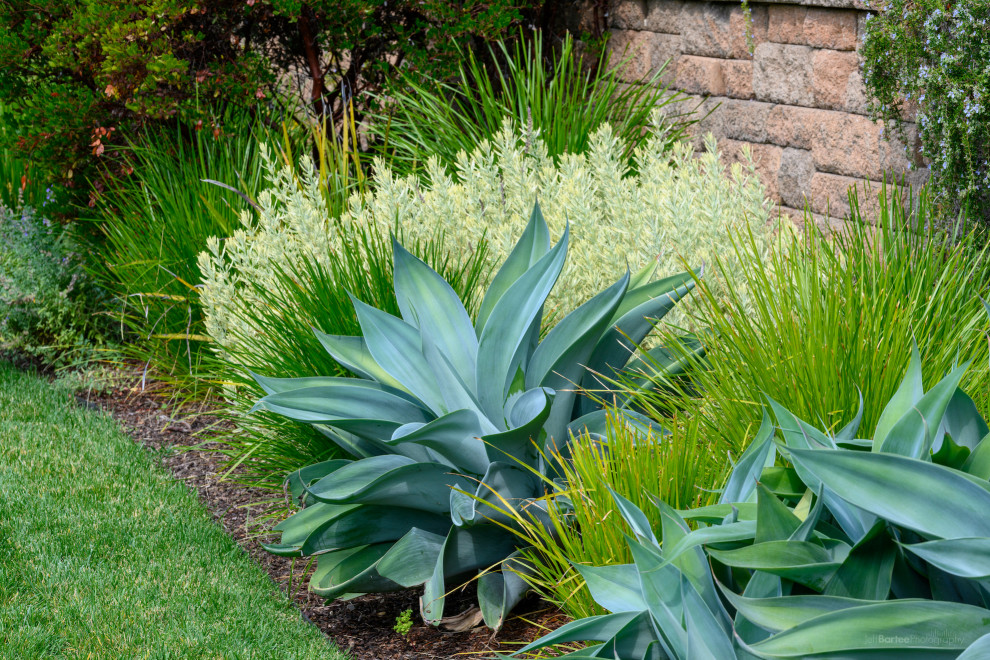 Hillsborough Outdoor Living Room Landscape San Francisco by