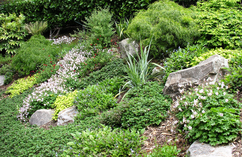 サンフランシスコにある低価格の夏の地中海スタイルのおしゃれな前庭 (ゼリスケープ、擁壁、日向) の写真