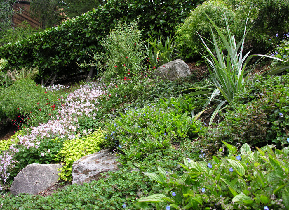 Ispirazione per un giardino xeriscape mediterraneo esposto in pieno sole davanti casa in estate con un muro di contenimento