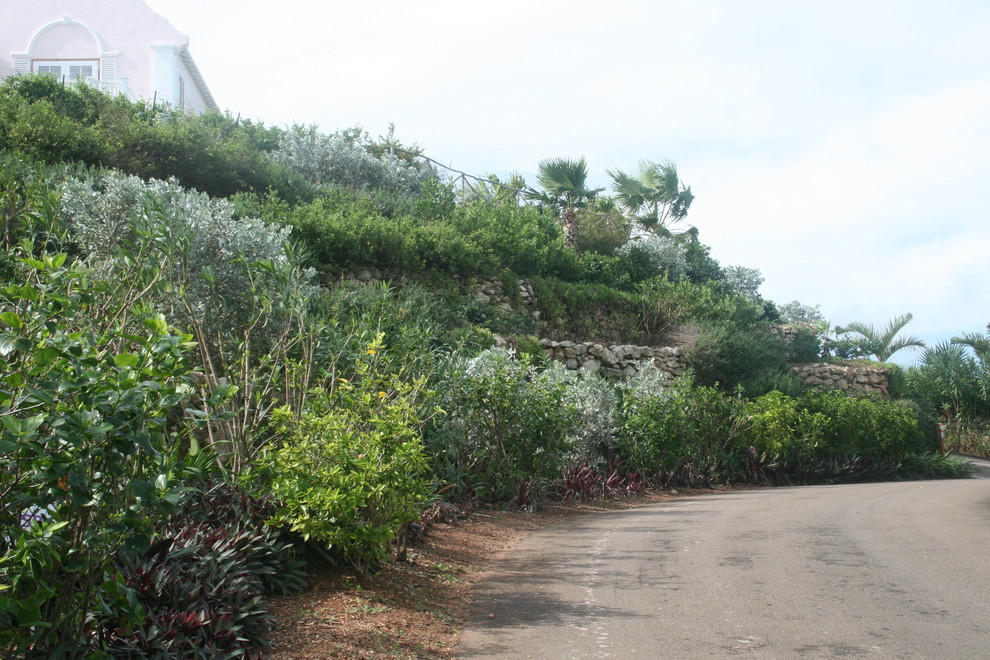 Esempio di un giardino tropicale esposto a mezz'ombra di medie dimensioni in primavera con pavimentazioni in pietra naturale e un pendio, una collina o una riva