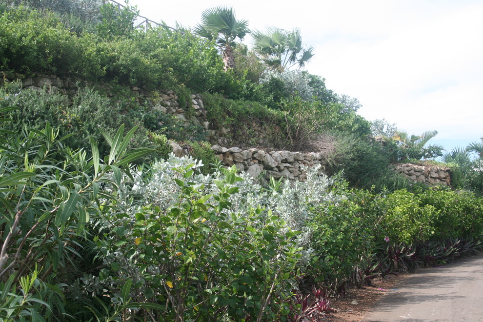Immagine di un giardino tropicale esposto a mezz'ombra di medie dimensioni in primavera con un pendio, una collina o una riva e pavimentazioni in pietra naturale