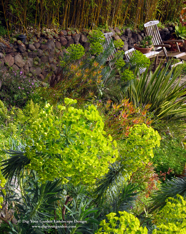 Стильный дизайн: огромный весенний засухоустойчивый сад на склоне в средиземноморском стиле с подпорной стенкой, полуденной тенью и покрытием из каменной брусчатки - последний тренд