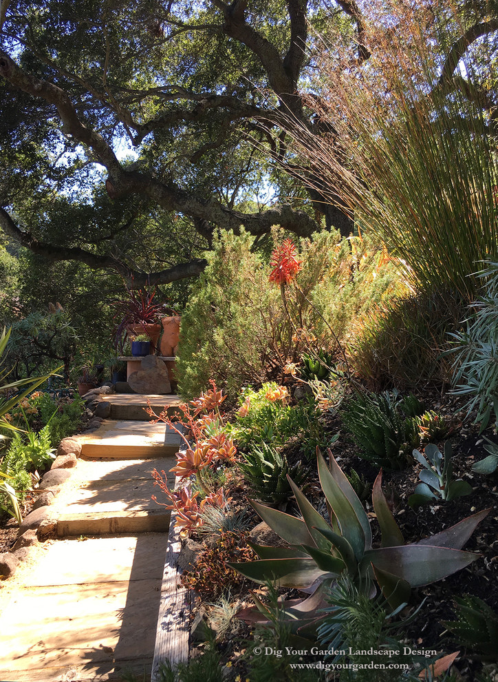 Idee per un ampio giardino xeriscape mediterraneo esposto a mezz'ombra in autunno con un ingresso o sentiero, un pendio, una collina o una riva e pavimentazioni in pietra naturale