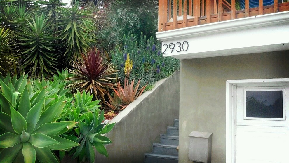 Esempio di un giardino xeriscape minimal esposto a mezz'ombra di medie dimensioni in primavera con un ingresso o sentiero e un pendio, una collina o una riva