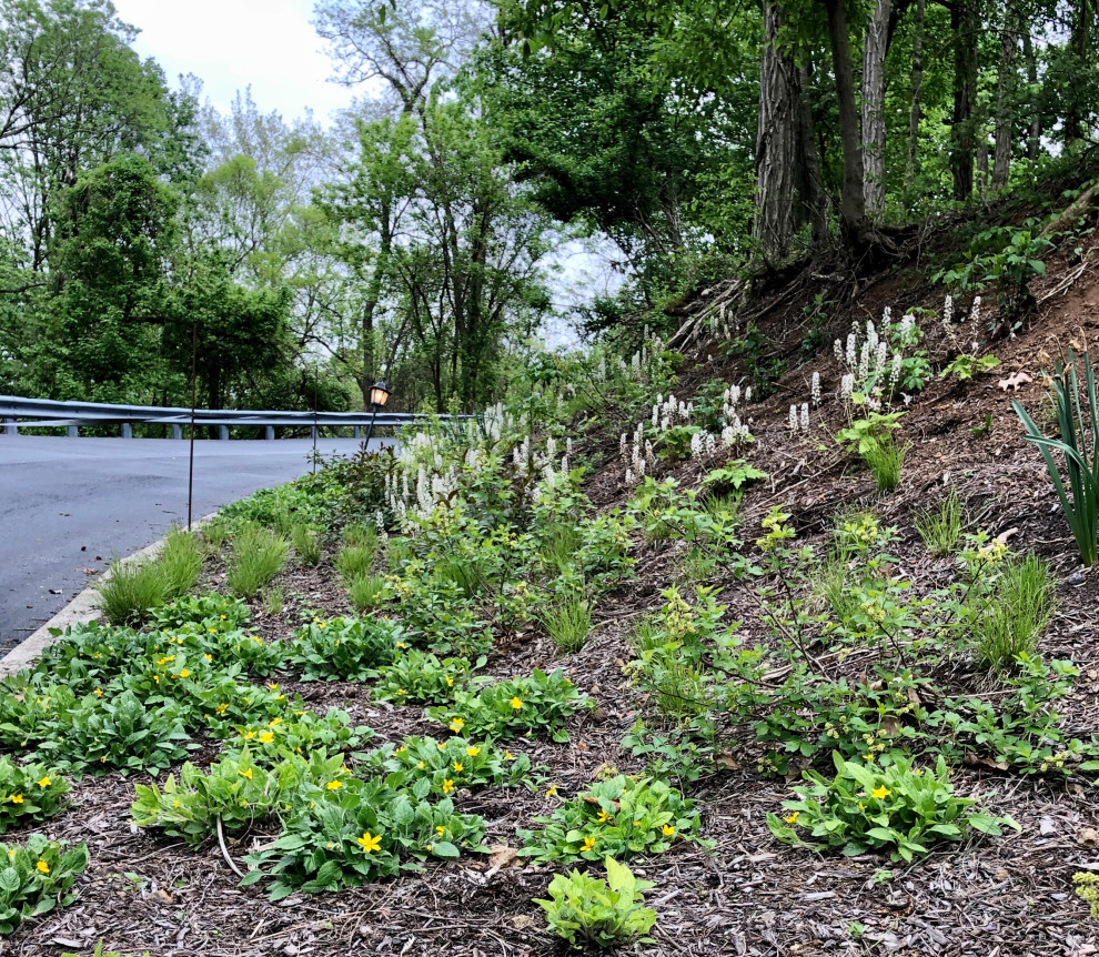 Geräumiger, Halbschattiger Rustikaler Hanggarten mit Blumenbeet in Sonstige