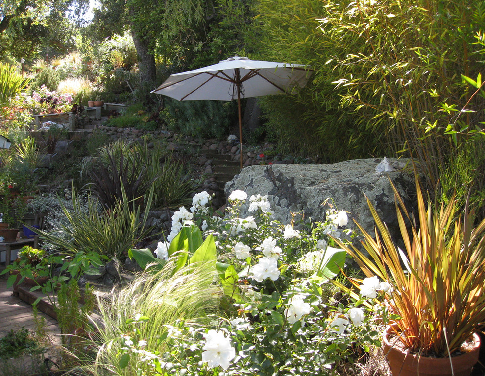 This is an example of an expansive mediterranean sloped xeriscape partial sun garden for spring in San Francisco with a retaining wall and natural stone paving.