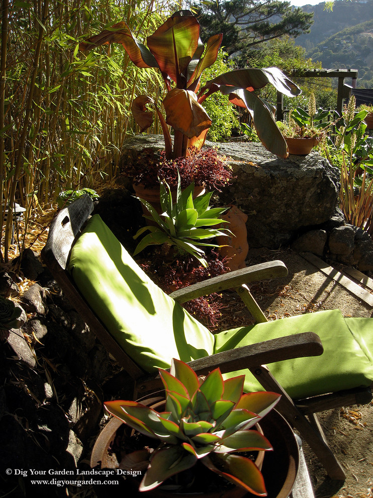 Источник вдохновения для домашнего уюта: огромный летний засухоустойчивый сад на склоне в средиземноморском стиле с садовой дорожкой или калиткой, полуденной тенью и покрытием из каменной брусчатки