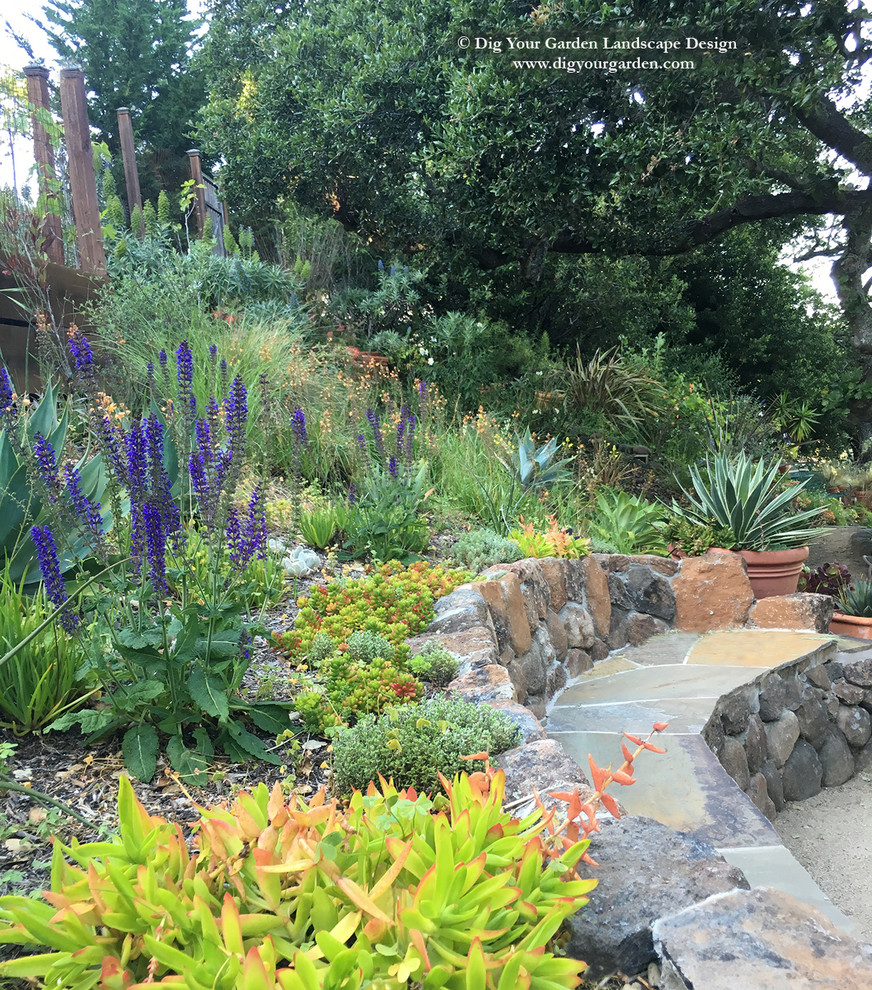 サンフランシスコにある巨大な、夏の地中海スタイルのおしゃれな庭 (ゼリスケープ、庭への小道、半日向、傾斜地、天然石敷き) の写真