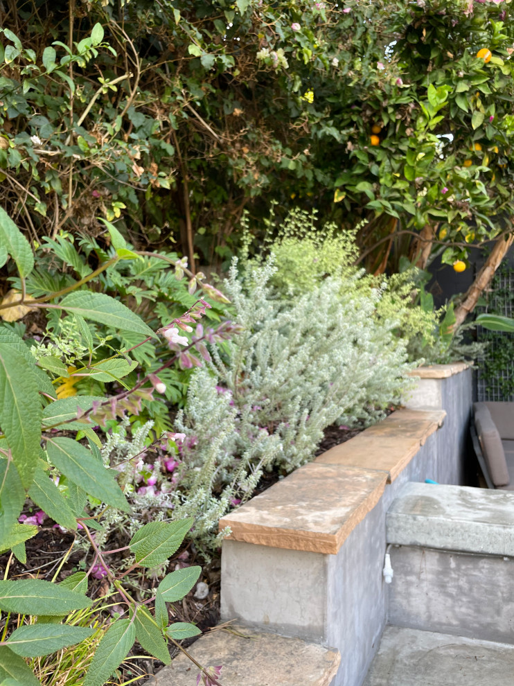 Modelo de jardín de secano contemporáneo pequeño en primavera en patio trasero con brasero, exposición parcial al sol, adoquines de piedra natural y con metal