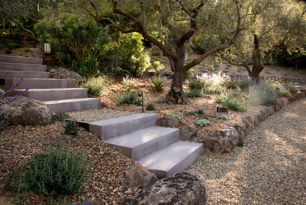 Diseño de jardín de secano mediterráneo grande en patio trasero con muro de contención, exposición parcial al sol y adoquines de hormigón