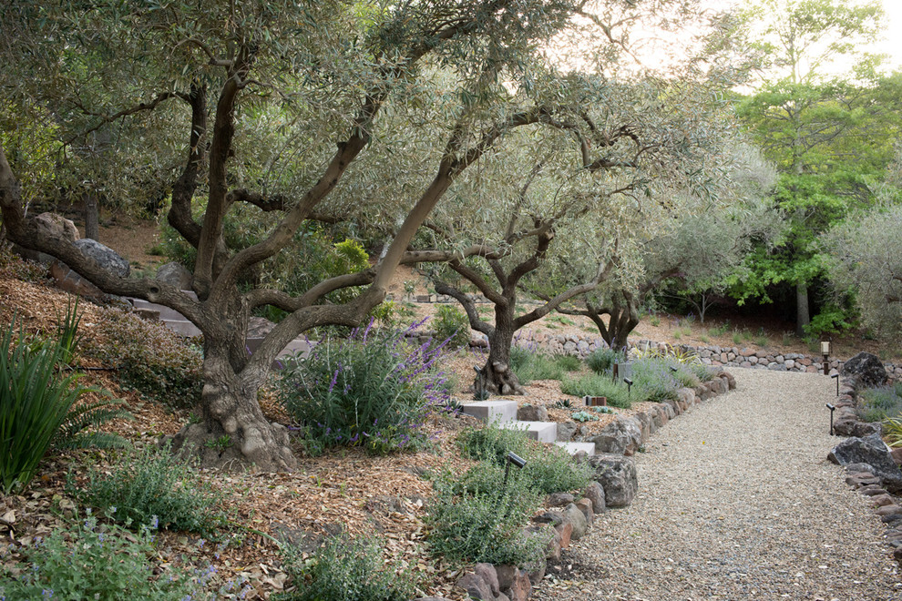 Ispirazione per un grande giardino xeriscape mediterraneo esposto a mezz'ombra dietro casa con un muro di contenimento e pavimentazioni in cemento