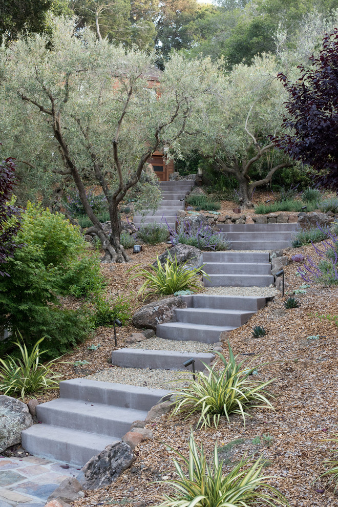 This is an example of a large mediterranean drought-tolerant and partial sun backyard concrete paver retaining wall landscape in San Francisco.