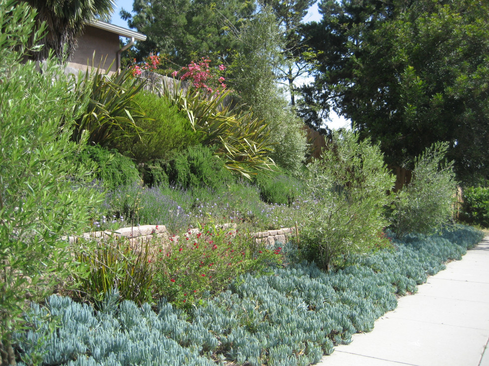 Design ideas for a large contemporary drought-tolerant and full sun hillside concrete paver retaining wall landscape in San Diego for summer.