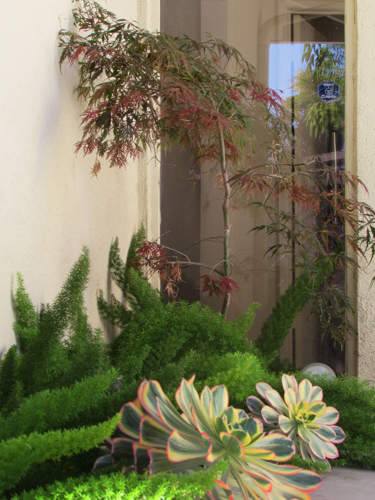 Idée de décoration pour un grand aménagement d'entrée ou allée de jardin avant minimaliste avec une exposition partiellement ombragée et des pavés en béton.