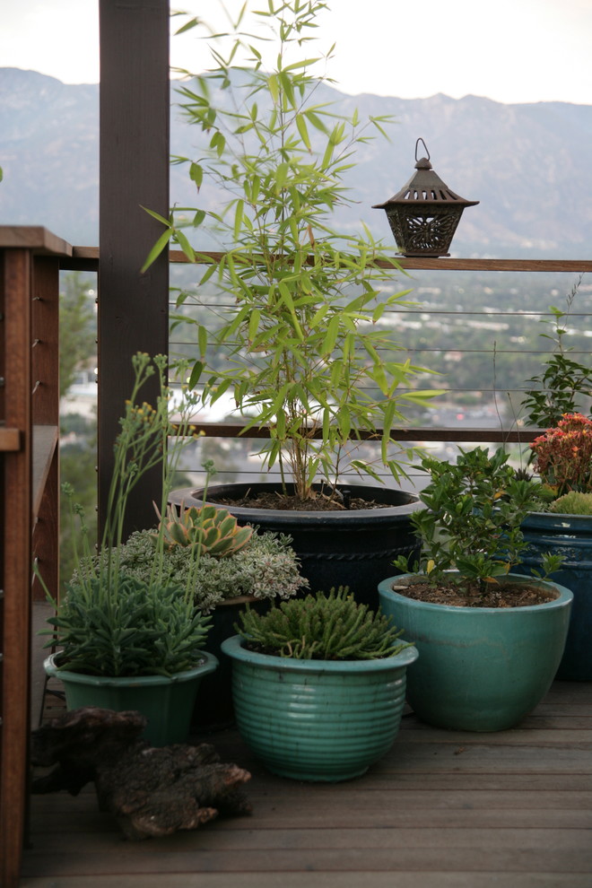 Idée de décoration pour un jardin design.