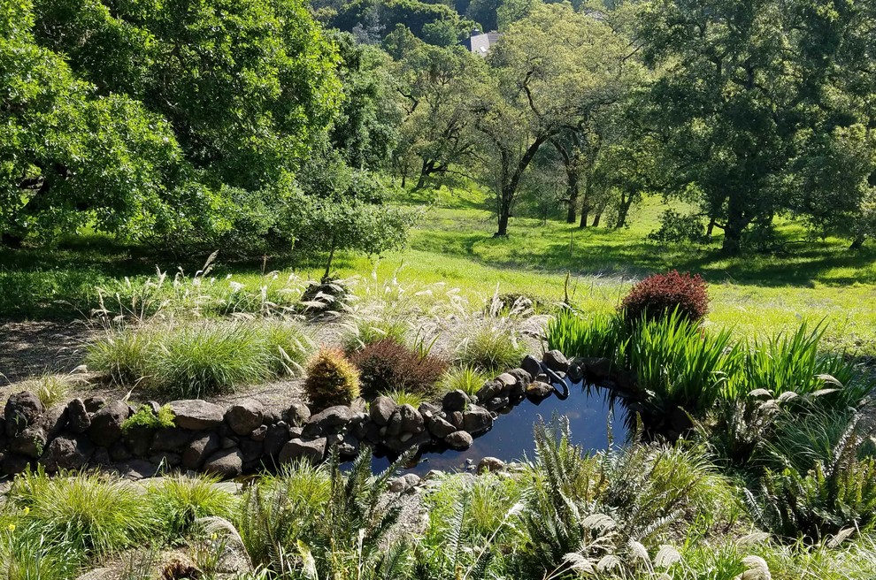 This is an example of a mid-sized mid-century modern partial sun side yard mulch pond in San Francisco for summer.