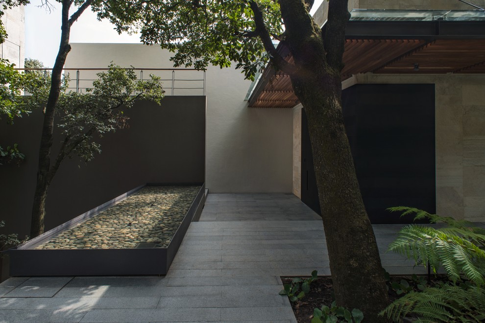 Design ideas for a contemporary landscaping in Mexico City.