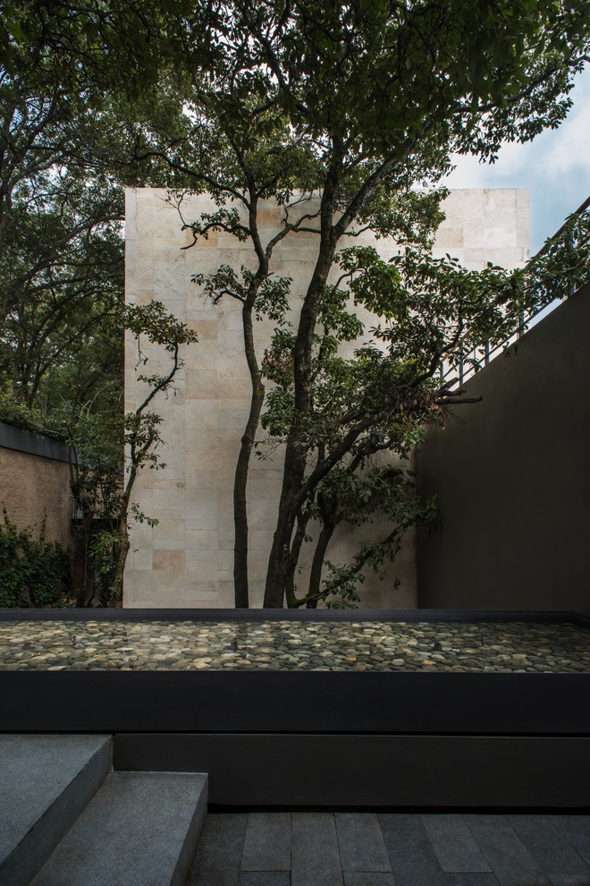 This is an example of a contemporary garden in Mexico City.