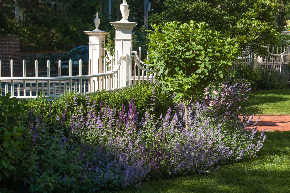 Foto di un giardino tradizionale esposto in pieno sole di medie dimensioni e davanti casa con un ingresso o sentiero e pavimentazioni in mattoni
