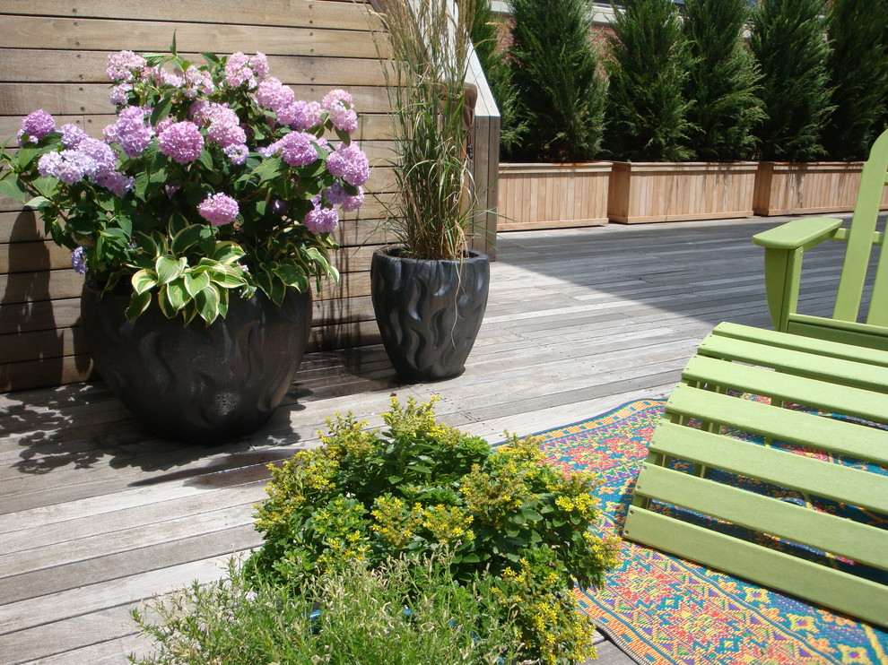 Halbschattiger Moderner Garten mit Kübelpflanzen in New York