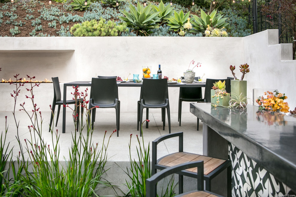 Design ideas for a modern garden in San Diego.