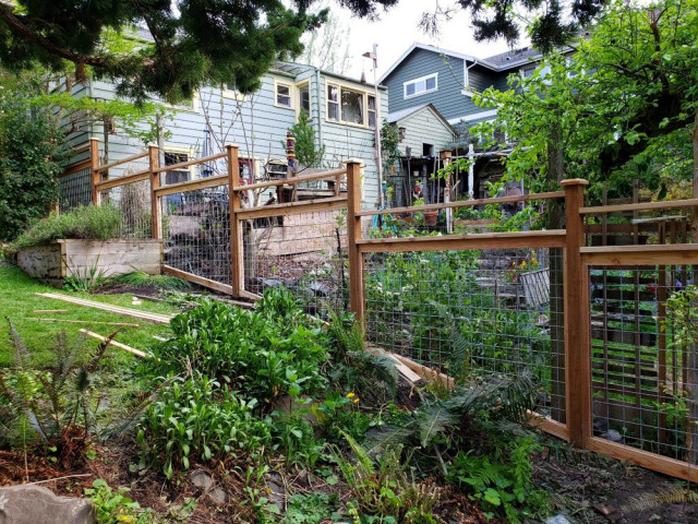 Hog Wire Panel Fencing Transitional Garden Seattle By Inline Fence Houzz Au Hog Wire Panel Fencing Transitional Garden Seattle By Inline Fence Houzz Au