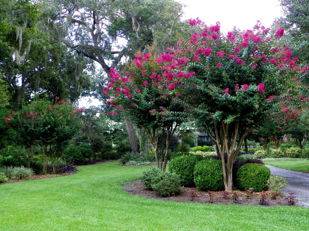 Photo of a traditional garden in Jacksonville.