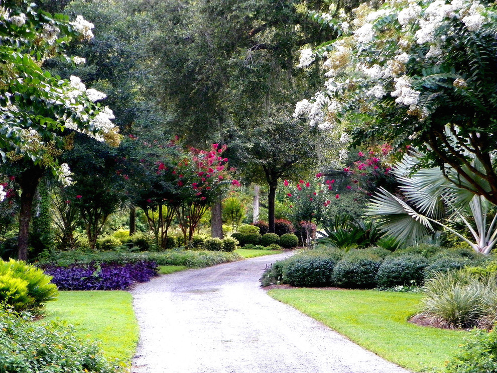 Photo of a traditional landscaping in Jacksonville.