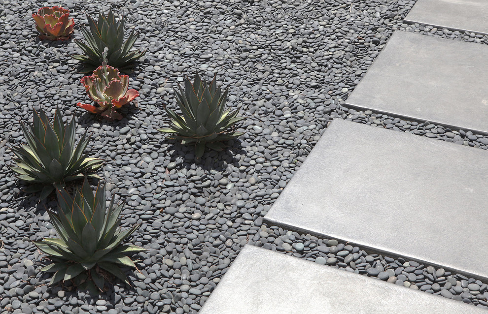Inspiration for a mid-sized contemporary full sun courtyard concrete paver landscaping in Los Angeles for summer.