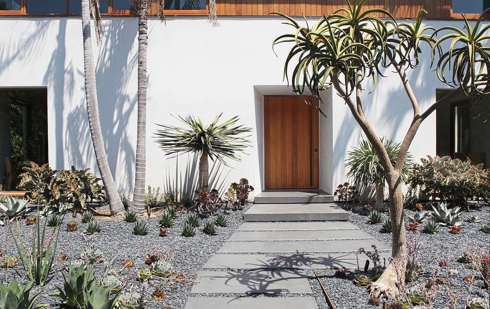 Medium sized contemporary courtyard formal full sun garden for summer in Los Angeles with a garden path and concrete paving.