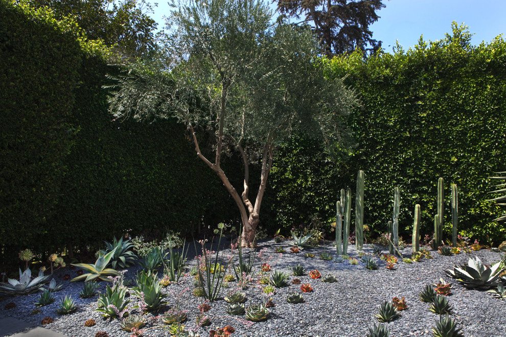 Mittelgroßer, Geometrischer Moderner Garten im Sommer mit Betonboden und direkter Sonneneinstrahlung in Los Angeles