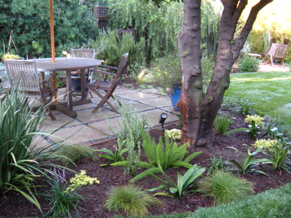 На фото: большой солнечный участок и сад на заднем дворе в современном стиле с хорошей освещенностью и мульчированием
