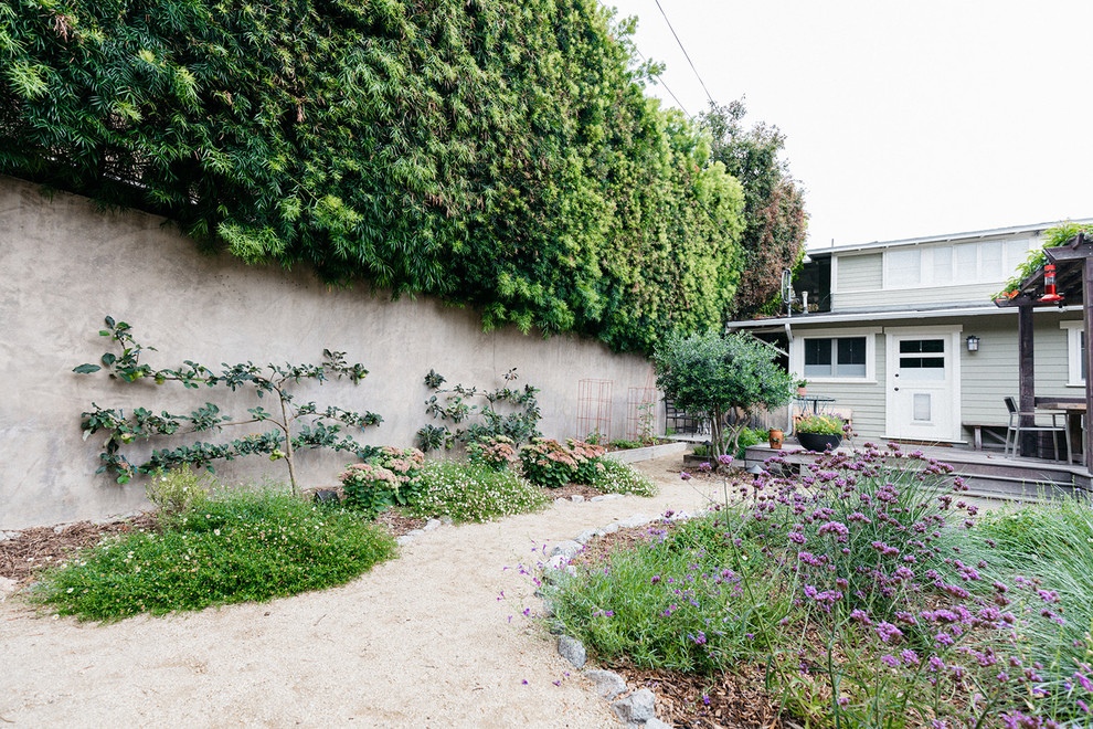 Photo of a drought-tolerant backyard landscaping in Los Angeles.