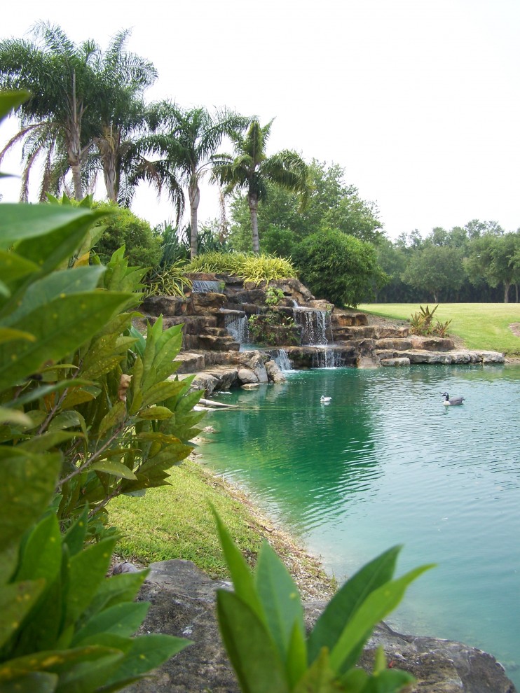 Bild på en tropisk trädgård, med en fontän