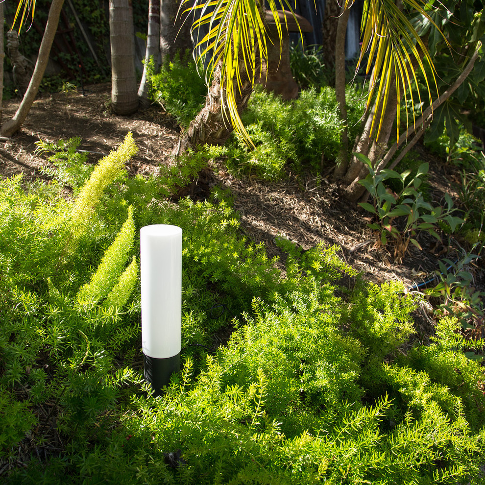 Immagine di un giardino minimalista esposto in pieno sole di medie dimensioni e dietro casa in estate