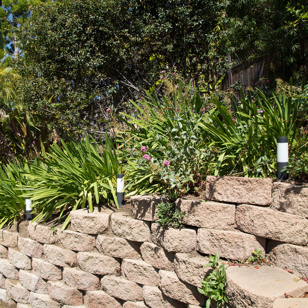 Foto di un giardino minimalista esposto in pieno sole di medie dimensioni e dietro casa in estate con un muro di contenimento