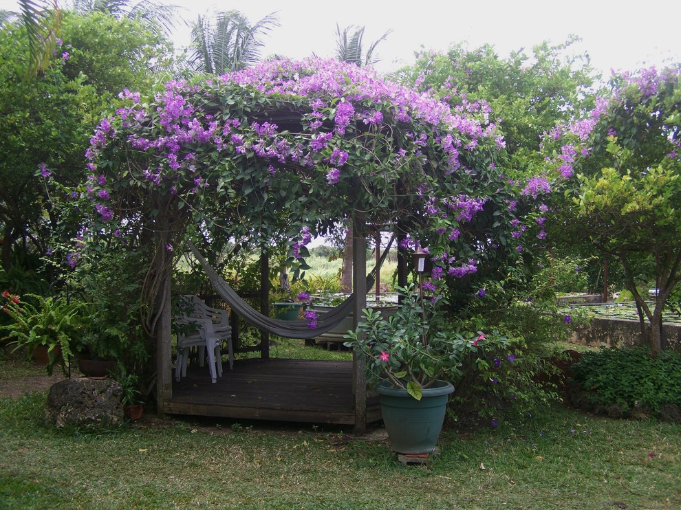 Home and garden spaces - Tropical - Landscape - Other - by Home and