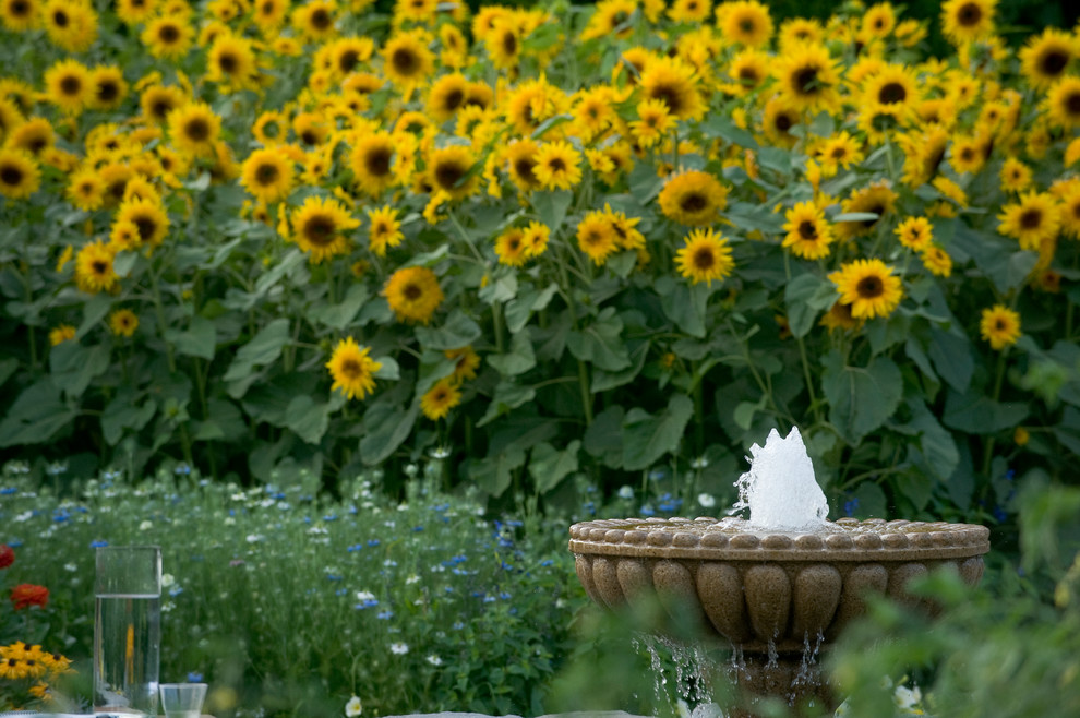 На фото: большой садовый фонтан на заднем дворе в классическом стиле