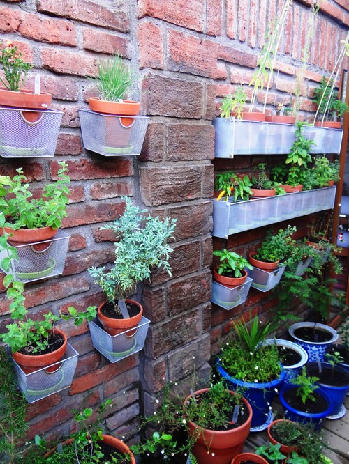 brick wall under patio with herb garden