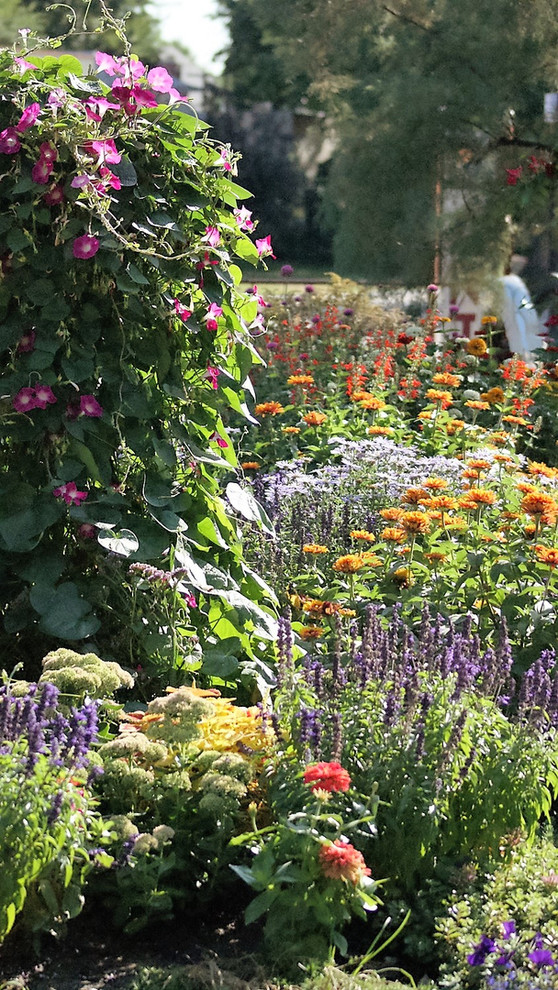 На фото: солнечный регулярный сад на заднем дворе в современном стиле с садовой дорожкой или калиткой и хорошей освещенностью