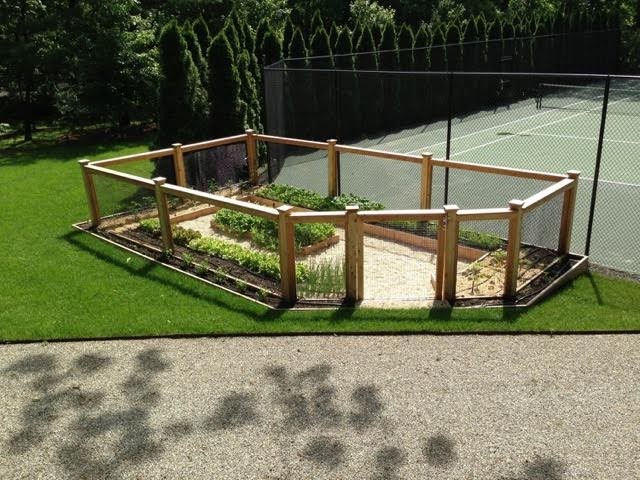 Cette photo montre un jardin arrière montagne de taille moyenne avec une exposition ensoleillée.