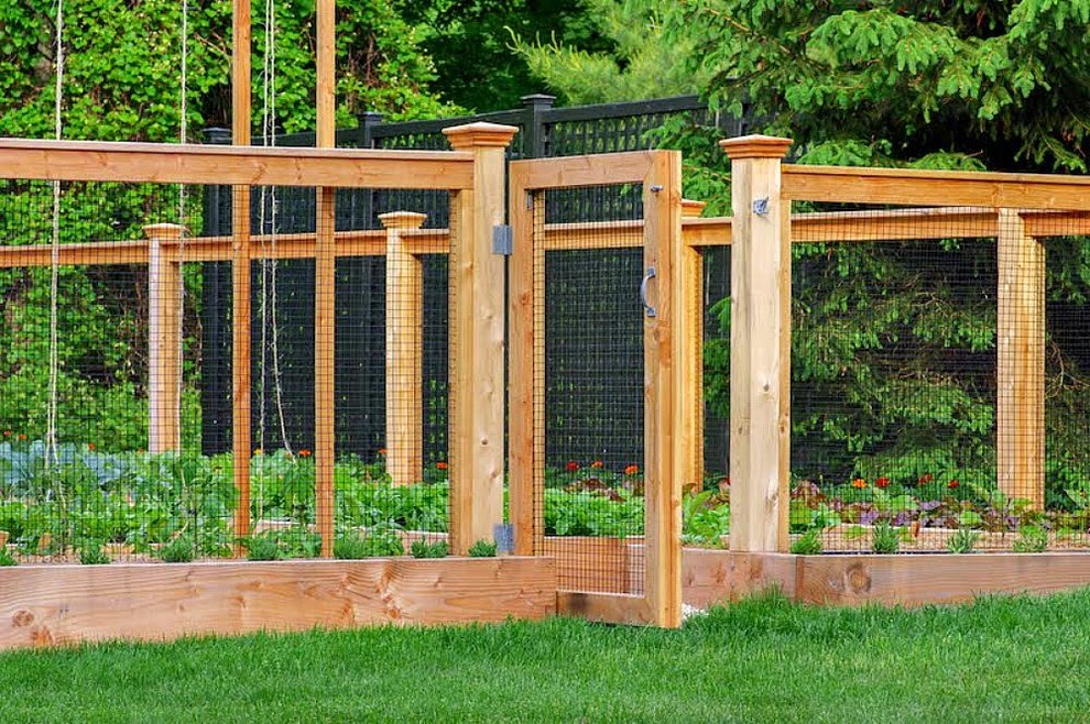 Inspiration pour un jardin arrière traditionnel de taille moyenne et au printemps avec une exposition ensoleillée.