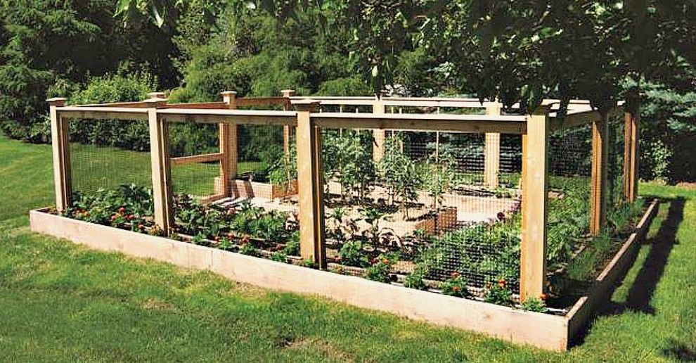 Esempio di un giardino classico esposto in pieno sole di medie dimensioni e dietro casa in primavera