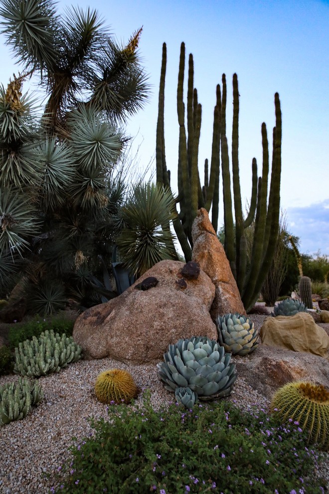 フェニックスにあるサンタフェスタイルのおしゃれな庭の写真