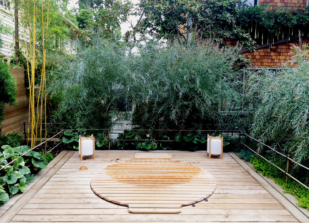Idee per un giardino tropicale esposto a mezz'ombra dietro casa con un ingresso o sentiero e pedane
