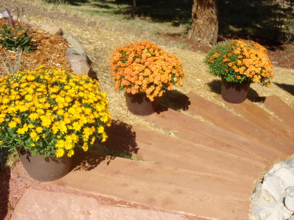Photo of an eclectic garden in Denver.