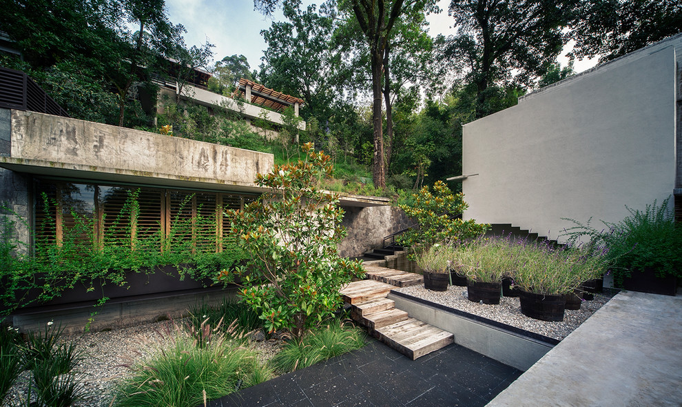 Стильный дизайн: участок и сад на заднем дворе в стиле модернизм с растениями в контейнерах - последний тренд