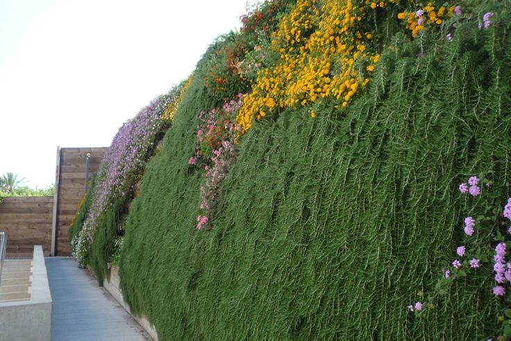 Mittelgroße Moderne Pflanzenwand neben dem Haus mit Auffahrt in Barcelona