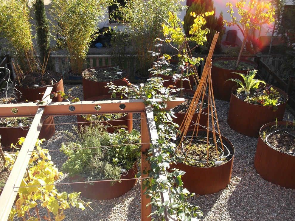 Aménagement d'un petit jardin arrière moderne l'automne avec une exposition ensoleillée et du gravier.
