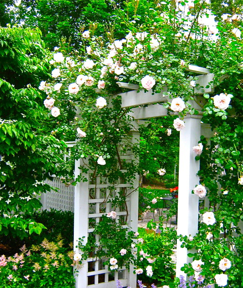 花や緑とともに美しい景観を演出する 庭づくりの名脇役ツール Houzz ハウズ